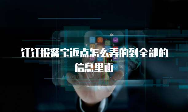 钉钉报餐宝返点怎么弄的到全部的信息里面
