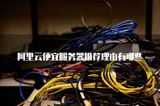 阿里云便宜服务器推荐理由有哪些