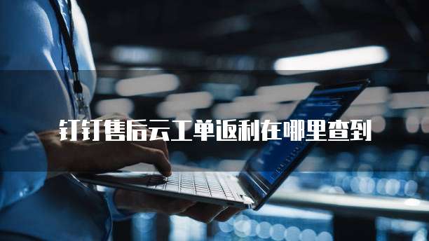 钉钉售后云工单返利在哪里查到