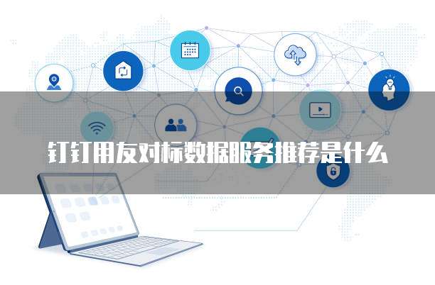 钉钉用友对标数据服务推荐是什么