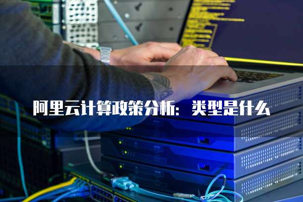 阿里云计算政策分析:类型是什么