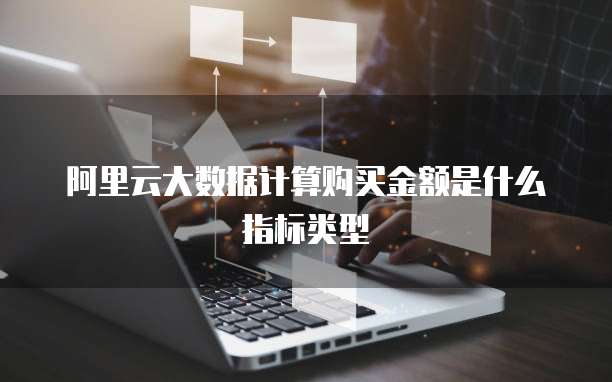 阿里云大数据计算购买金额是什么指标类型
