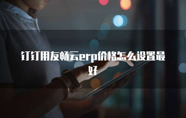 钉钉用友畅云erp价格怎么设置最好