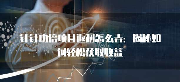 钉钉功倍项目返利怎么弄:揭秘如何轻松获取收益