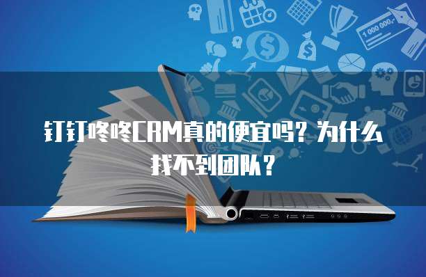 钉钉咚咚CRM真的便宜吗?为什么找不到团队?