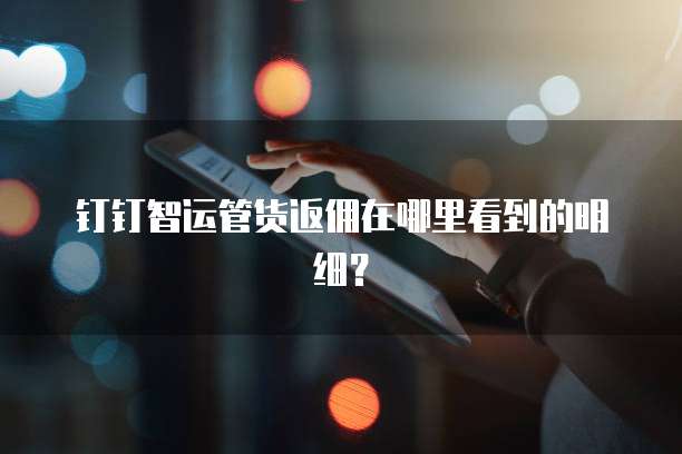 钉钉智运管货返佣在哪里看到的明细?