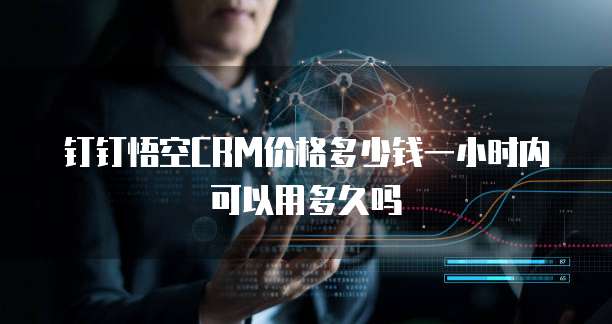 钉钉悟空CRM价格多少钱一小时内可以用多久吗