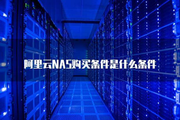 阿里云NAS购买条件是什么条件