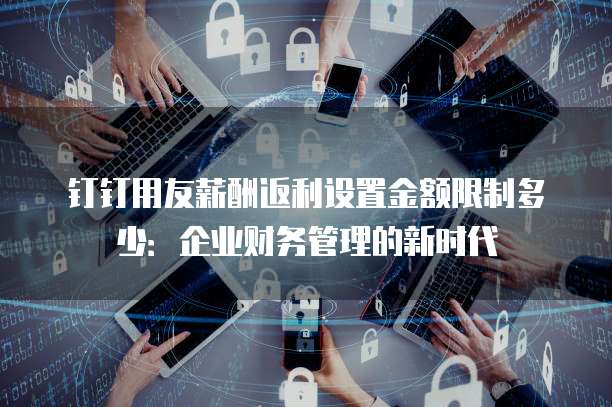 钉钉用友薪酬返利设置金额限制多少：企业财务管理的新时代