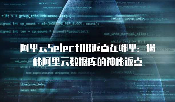 阿里云SelectDB返点在哪里:揭秘阿里云数据库的神秘返点