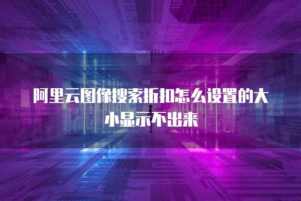 阿里云图像搜索折扣怎么设置的大小显示不出来