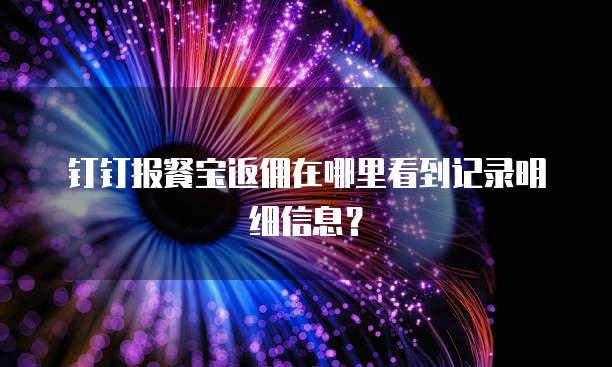 钉钉报餐宝返佣在哪里看到记录明细信息?