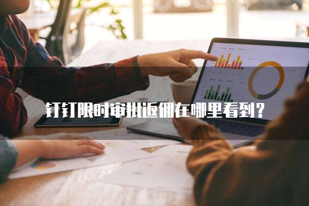 钉钉限时审批返佣在哪里看到？