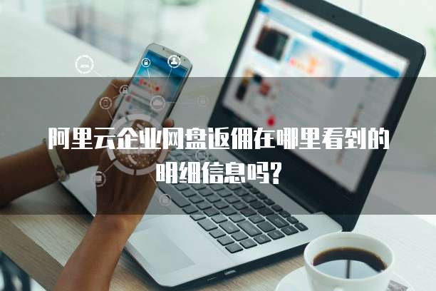 阿里云企业网盘返佣在哪里看到的明细信息吗?