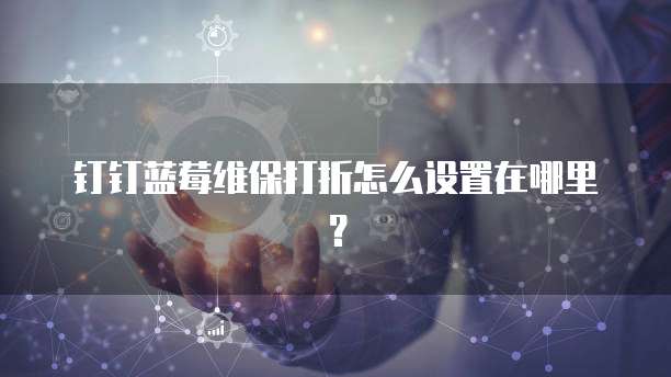 钉钉蓝莓维保打折怎么设置在哪里?