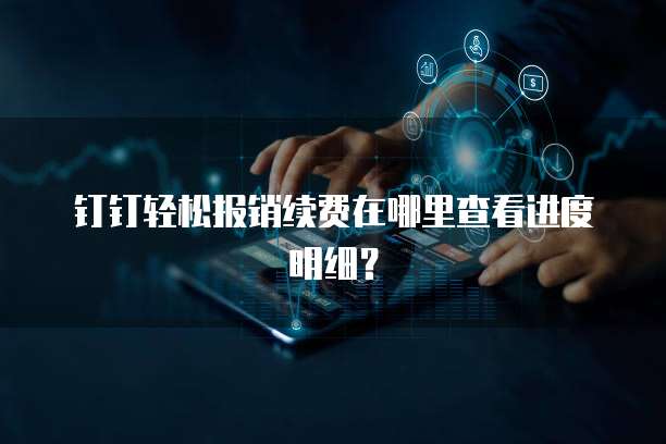 钉钉轻松报销续费在哪里查看进度明细？