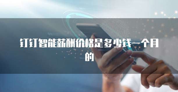 钉钉智能薪酬价格是多少钱一个月的