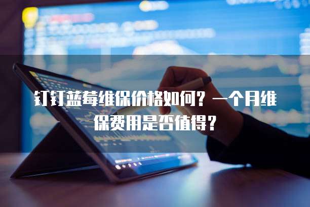钉钉蓝莓维保价格如何?一个月维保费用是否值得?