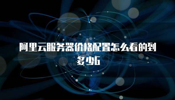 阿里云服务器价格配置怎么看的到多少G