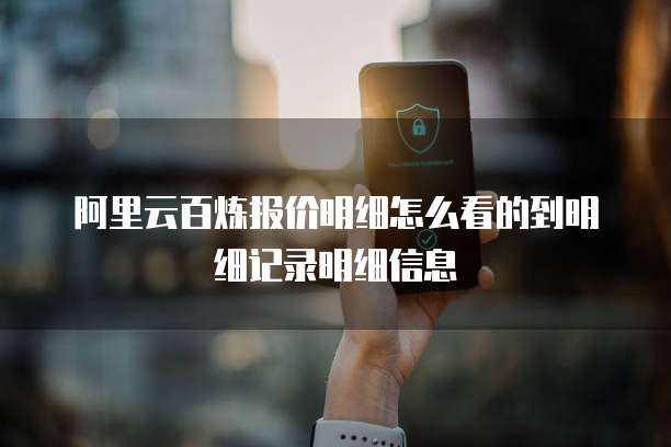 阿里云百炼报价明细怎么看的到明细记录明细信息