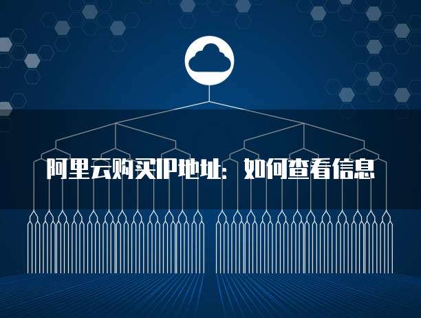 阿里云购买IP地址:如何查看信息