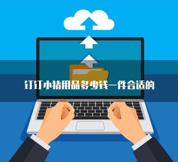 钉钉小猪用品多少钱一件合适的