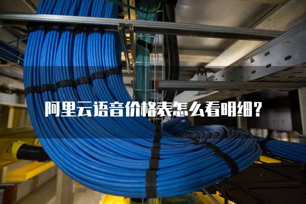 阿里云语音价格表怎么看明细？