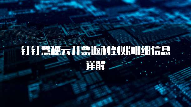 钉钉慧穗云开票返利到账明细信息详解