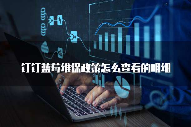 钉钉蓝莓维保政策怎么查看的明细