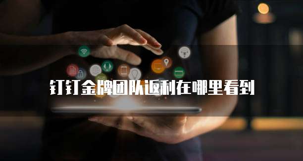 钉钉金牌团队返利在哪里看到