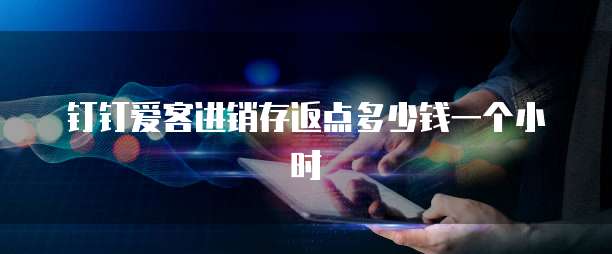 钉钉爱客进销存返点多少钱一个小时