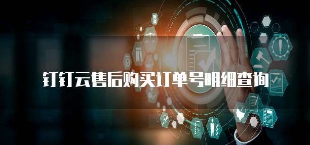钉钉云售后购买订单号明细查询