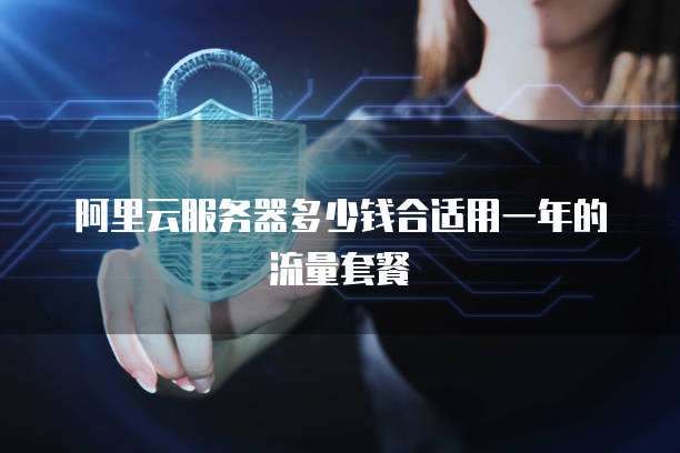 阿里云服务器多少钱合适用一年的流量套餐