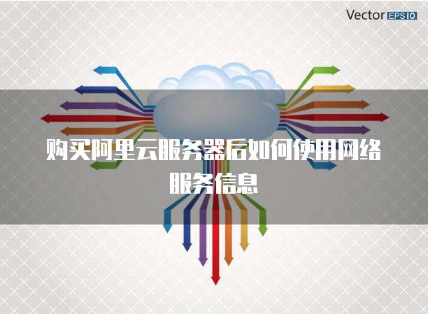 购买阿里云服务器后如何使用网络服务信息