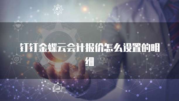 钉钉金蝶云会计报价怎么设置的明细