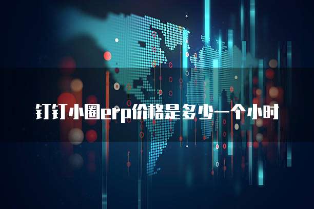 钉钉小圈erp价格是多少一个小时