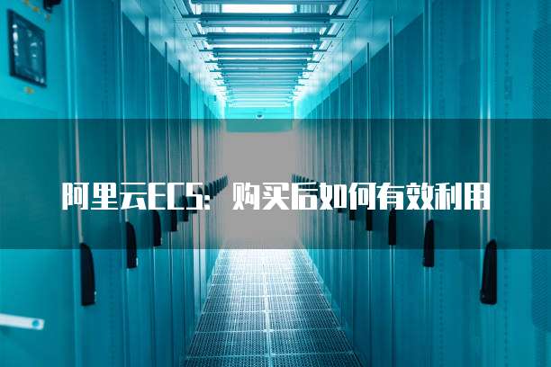 阿里云ECS：购买后如何有效利用