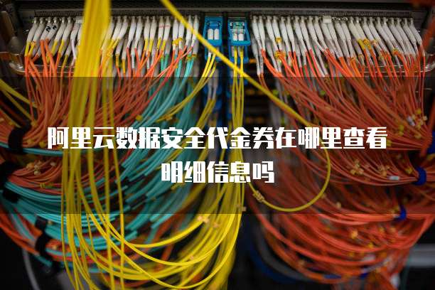 阿里云数据安全代金券在哪里查看明细信息吗