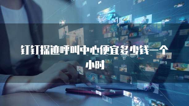 钉钉探迹呼叫中心便宜多少钱一个小时