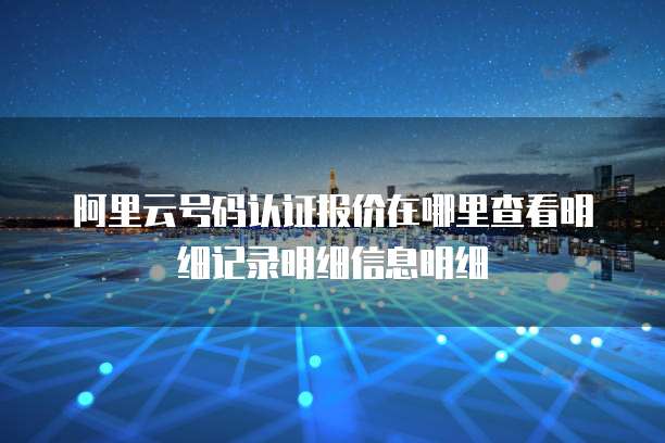 阿里云号码认证报价在哪里查看明细记录明细信息明细
