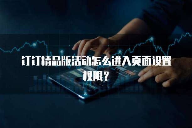 钉钉精品版活动怎么进入页面设置权限？