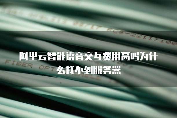 阿里云智能语音交互费用高吗为什么找不到服务器