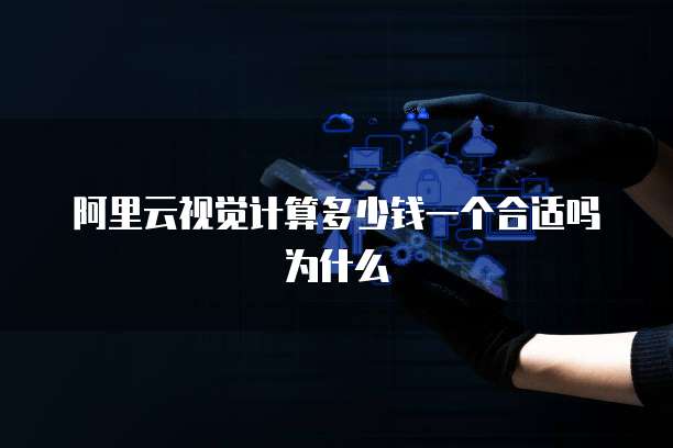 阿里云视觉计算多少钱一个合适吗为什么