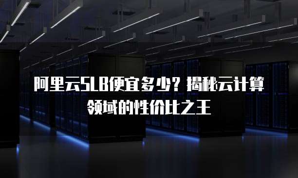阿里云SLB便宜多少?揭秘云计算领域的性价比之王