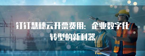 钉钉慧穗云开票费用:企业数字化转型的新利器