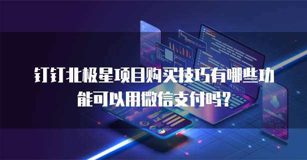 钉钉北极星项目购买技巧有哪些功能可以用微信支付吗?
