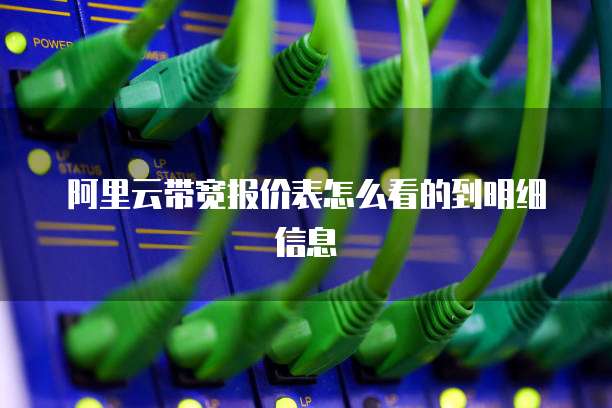 阿里云带宽报价表怎么看的到明细信息