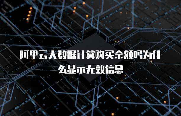 阿里云大数据计算购买金额吗为什么显示无效信息