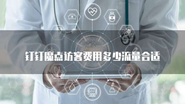 钉钉魔点访客费用多少流量合适