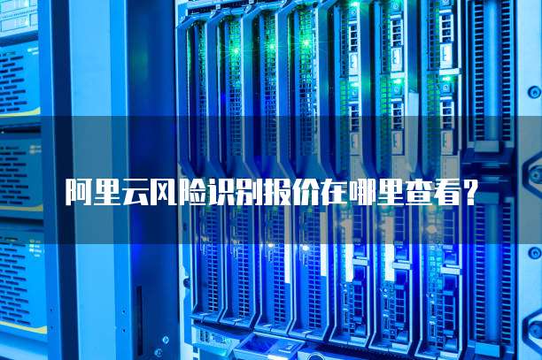 阿里云风险识别报价在哪里查看？